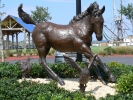 PICTURES/Chincoteague Island/t_Pony Statue.JPG